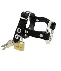 Spartacus Locking Cock & Ball Harness