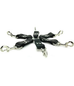 Edge Leather 6 Point Hog Tie