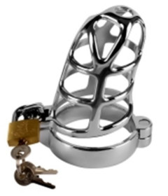 Detained Metal Chastity Cage