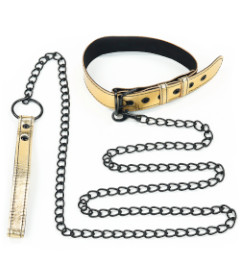 Metallic Pup Collar With Leash Gold