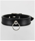 B-COL11BLK Padded Black Collar
