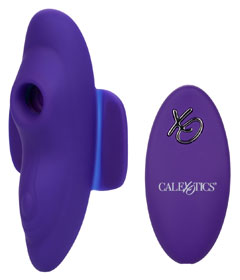 Lock-N-Play Remote Suction Panty Teaser