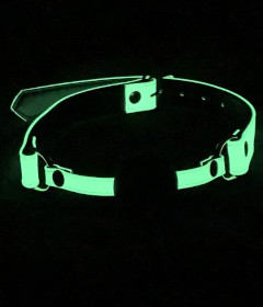 GAG068 - Glow In The Dark Ball Gag