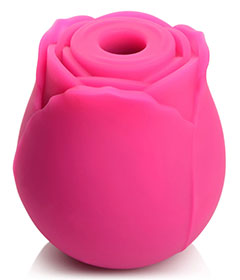 Gossip Cum Into Bloom Rose Crush