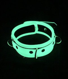 COL068 - Glow In The Dark Collar & Lead