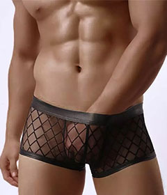 MP056 Mens Sexy Sheer Boxers Underwear L