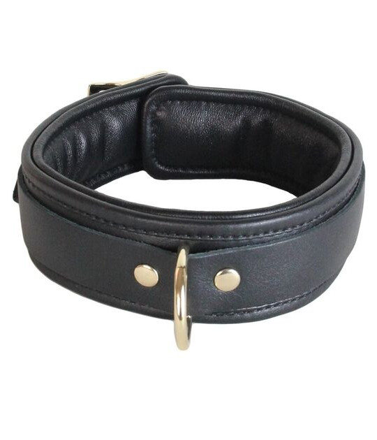 Leather Collar with Gold Hardware
