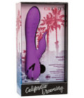 California Dreaming Valley Vamp