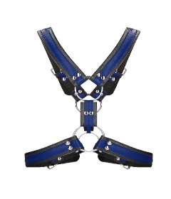 Scottish Harness L XL Blue
