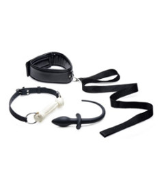 Puppy Play Set - Silicone Bone Gag, Tail Anal Plug, & Collar