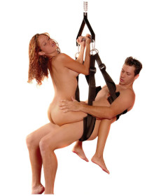 WhipSmart Pleasure Swing