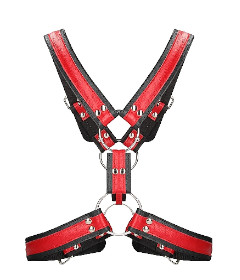 Scottish Harness L XL Red