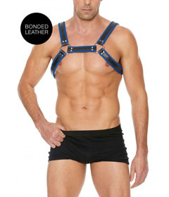 Buckle Bulldog Harness S M Blue