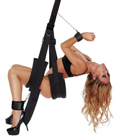 WhipSmart Fantasy Bondage Pleasure Swing